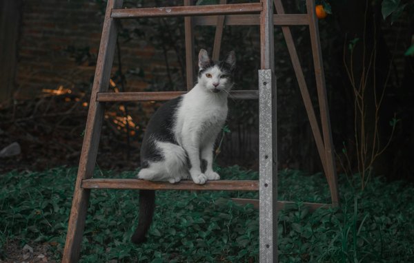 Le rôle des proches face à une grossesse nerveuse